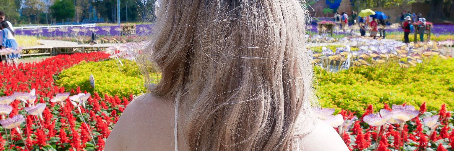 Cinsqr's profile banner image