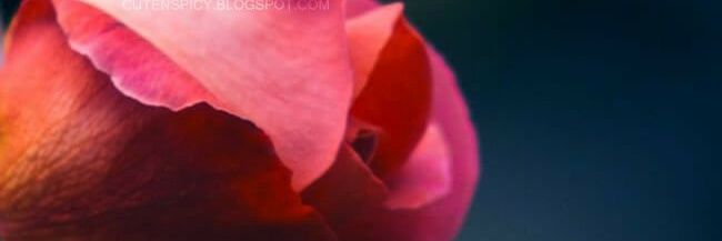 Belal_razaa's profile banner image