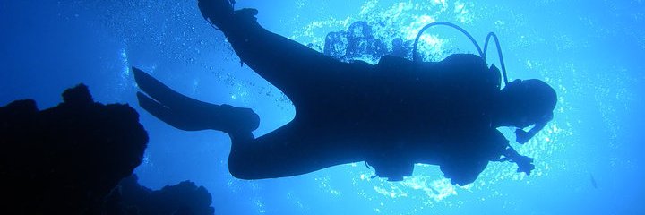 PoweredByScuba's profile banner image