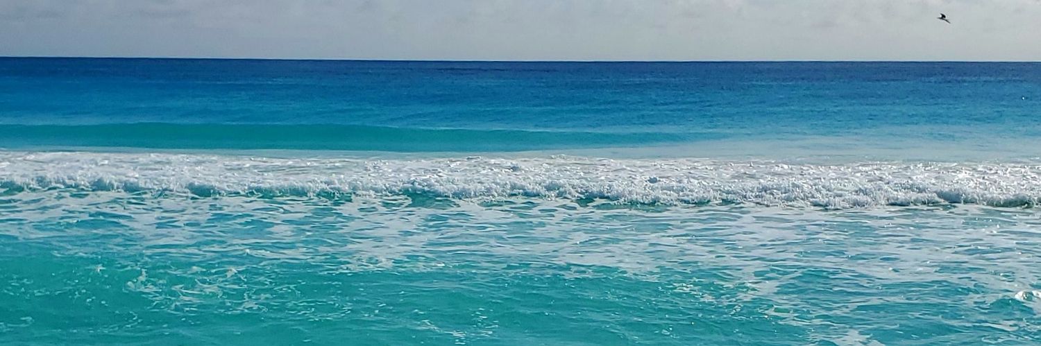 steven_doring's profile banner image