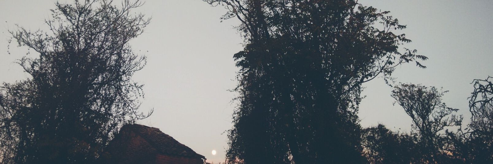 Marlennns's profile banner image