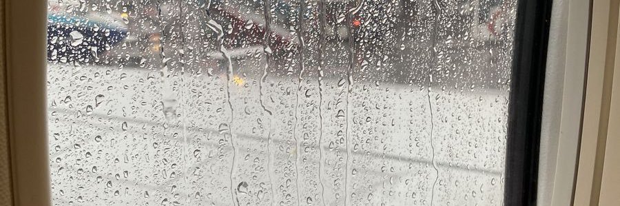 rizuko26's profile banner image