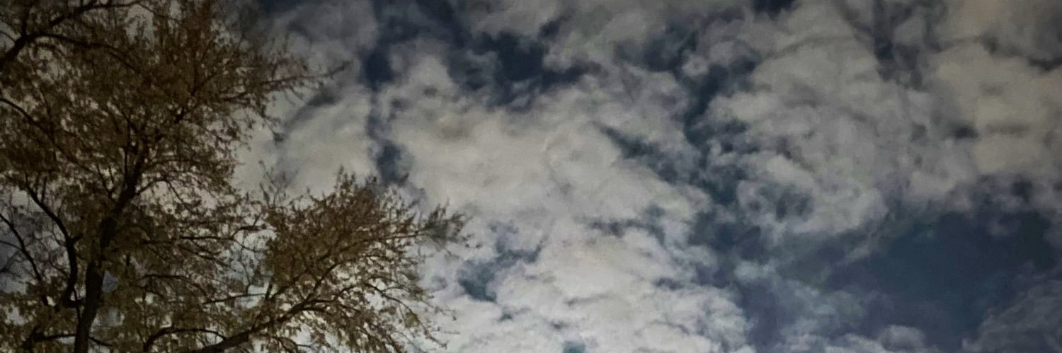 saragski's profile banner image