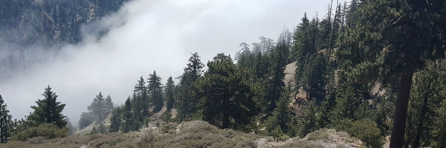 KickButtKevin's profile banner image