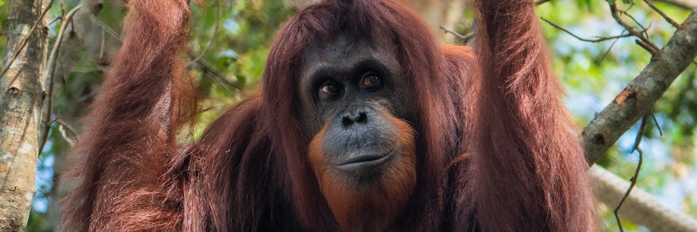 Naples Zoo banner
