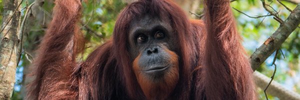 NaplesZoo Profile Banner
