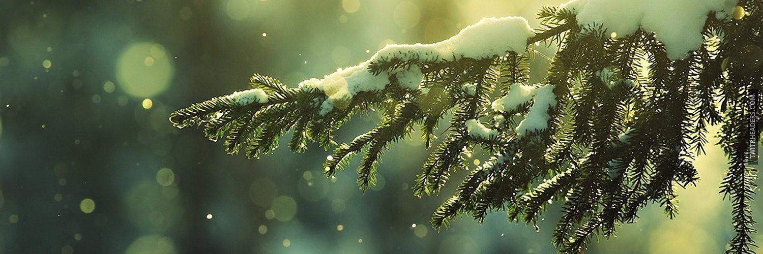 WinterMagic2017's profile banner image