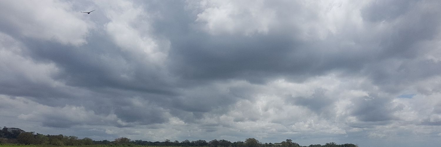 erfv86's profile banner image