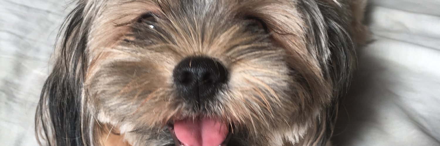 EAlingalan's profile banner image