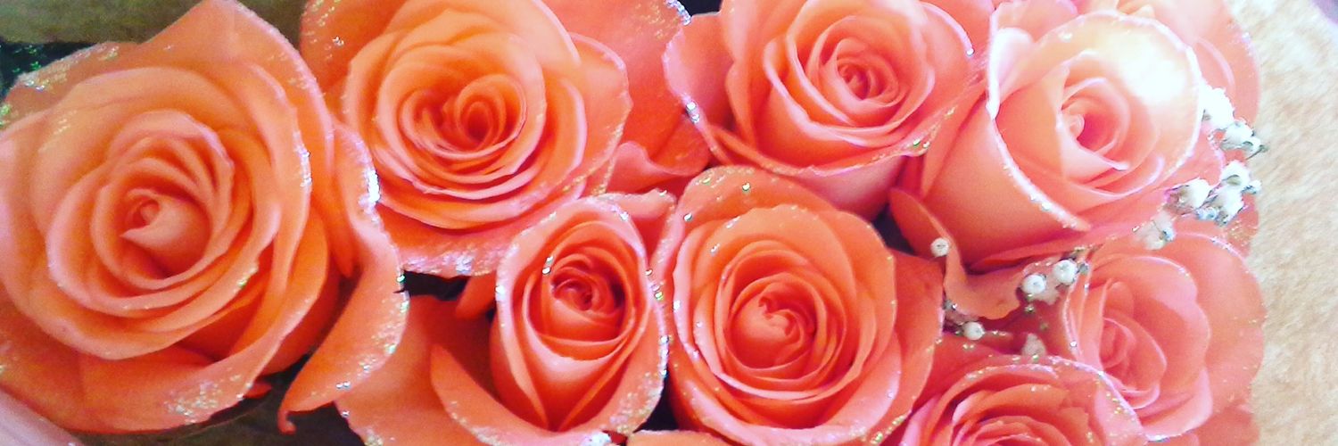 RoseDMR's profile banner image