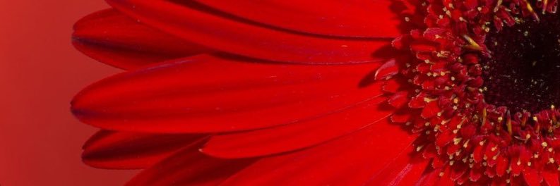 ELattuada's profile banner image