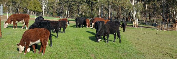 frost_farms Profile Banner