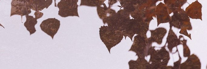 JuliusAngeles20's profile banner image