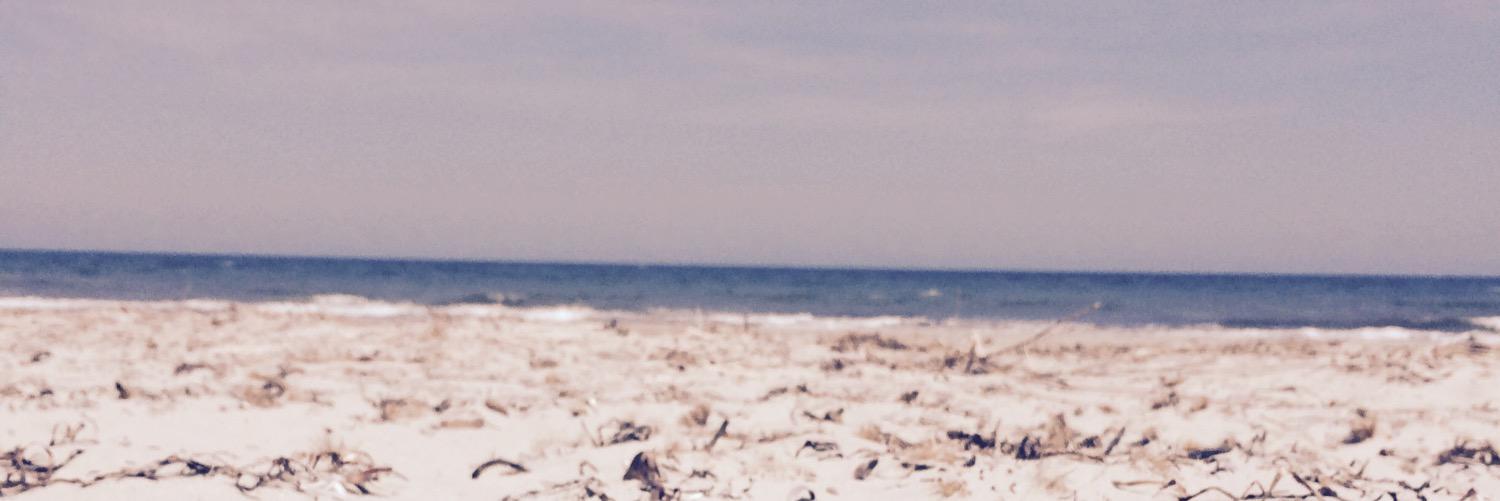 AnabeeL_m's profile banner image