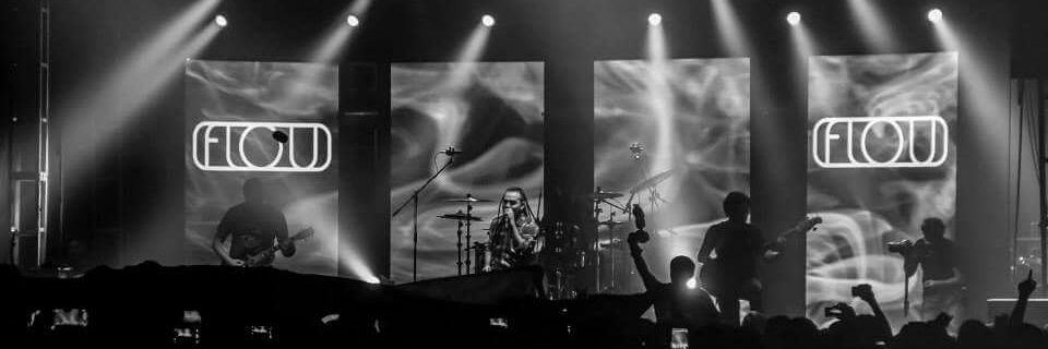 Patito Patiño banner