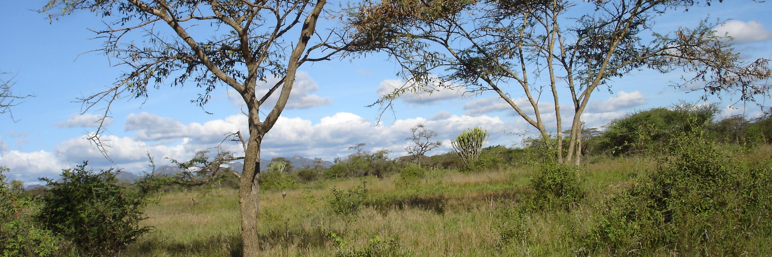 ForestSociety's profile banner image