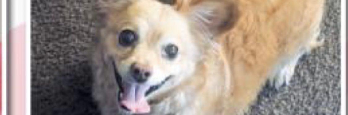 Billy_Da_Kiid's profile banner image