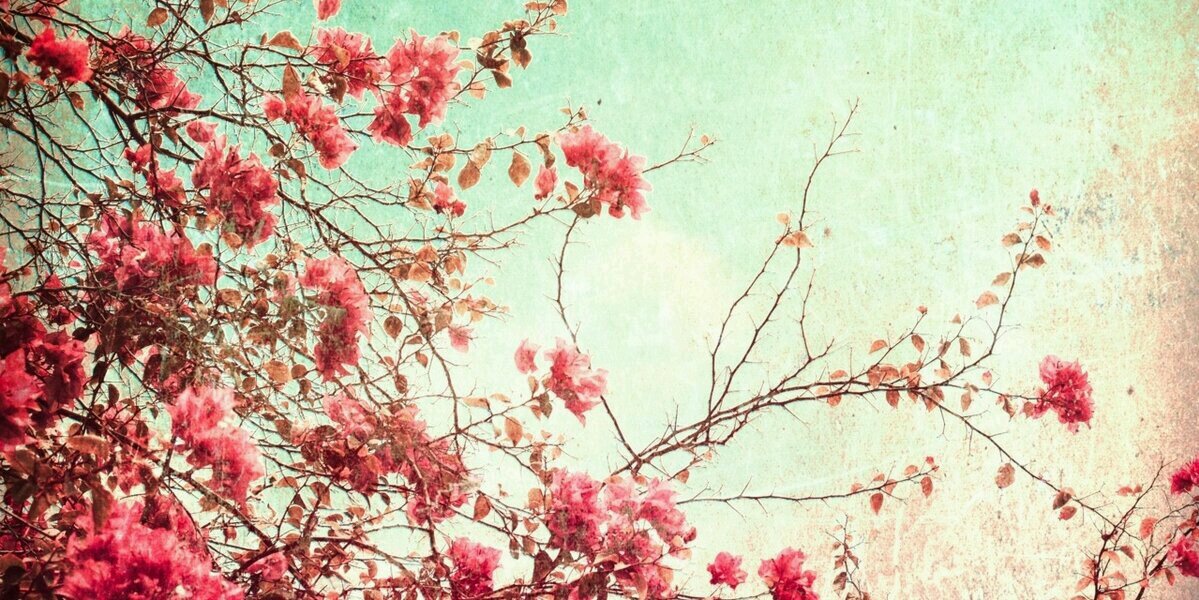 inichka_s's profile banner image