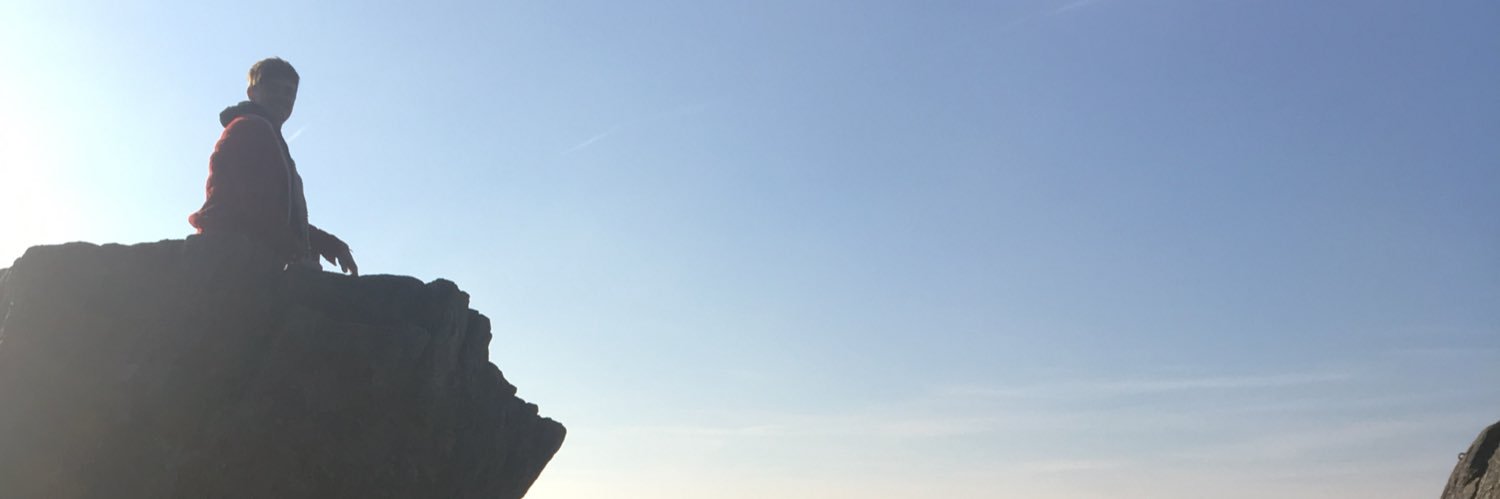 devil_heartless's profile banner image