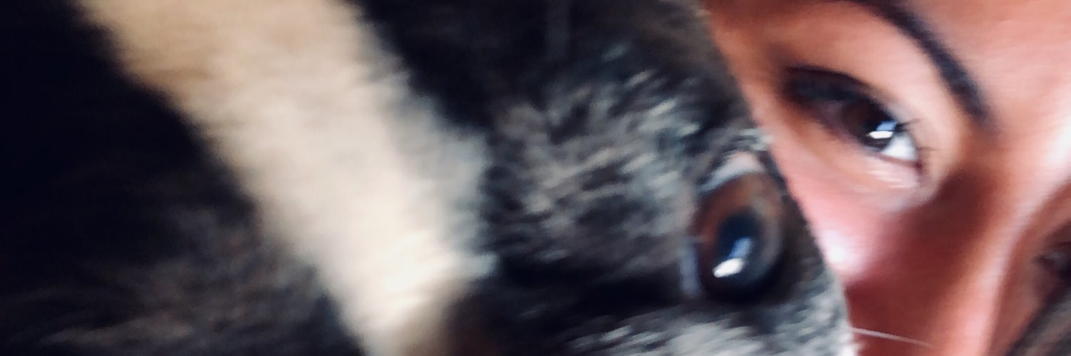 Danielaamaya14's profile banner image
