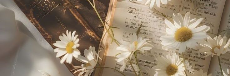 avitashia's profile banner image