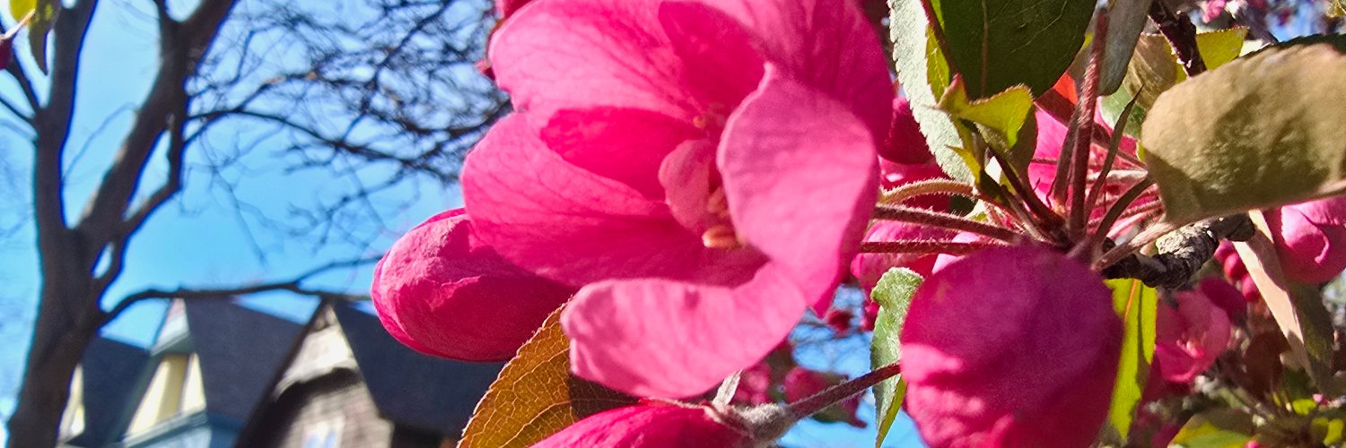 sumi26's profile banner image