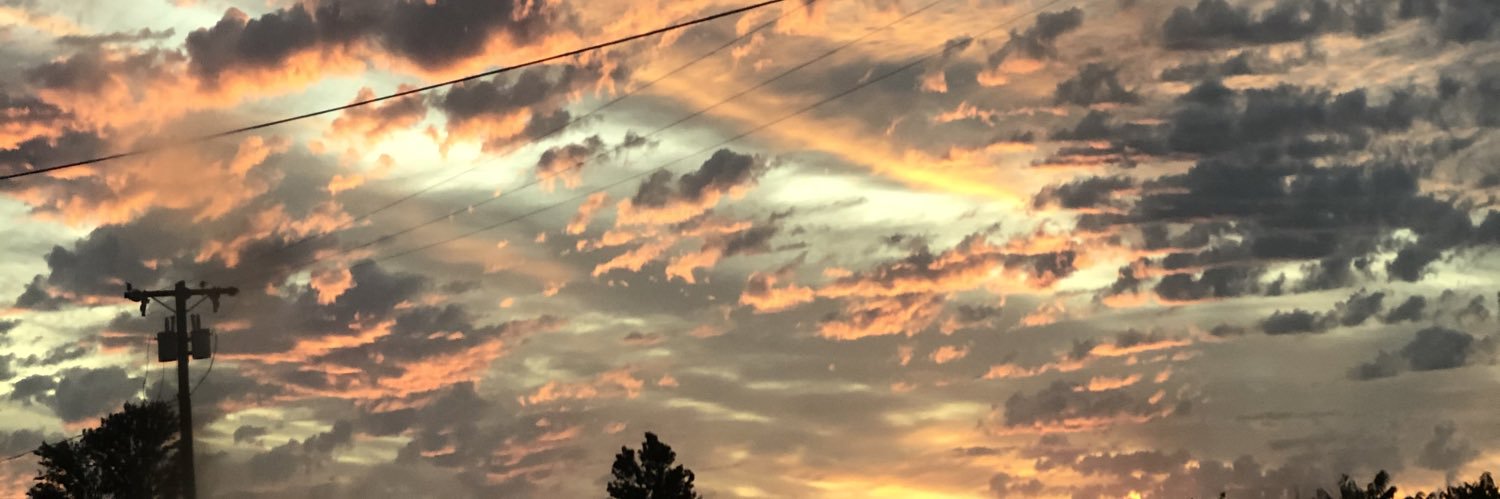 HaleyHollenbeck's profile banner image