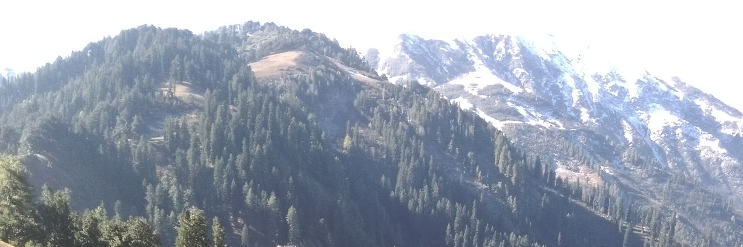 That.orthodoc banner