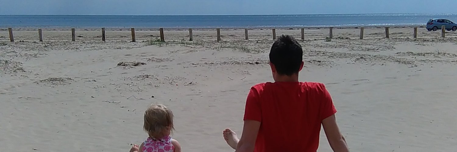 Neil Ritchie /\_/\ banner