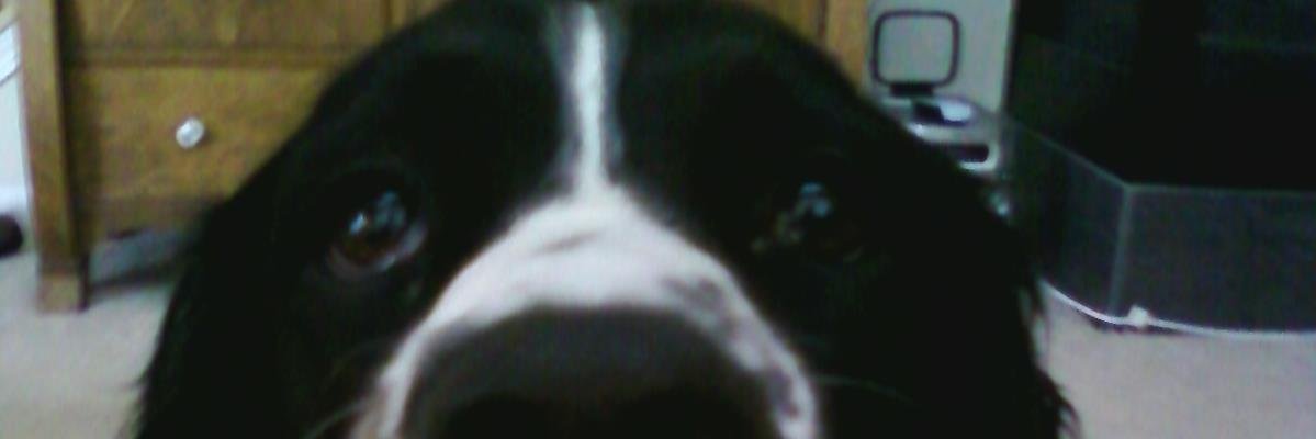 princess2u74's profile banner image