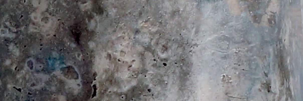 The Muse Gallery banner