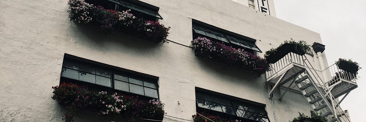 AnnaMoGo's profile banner image