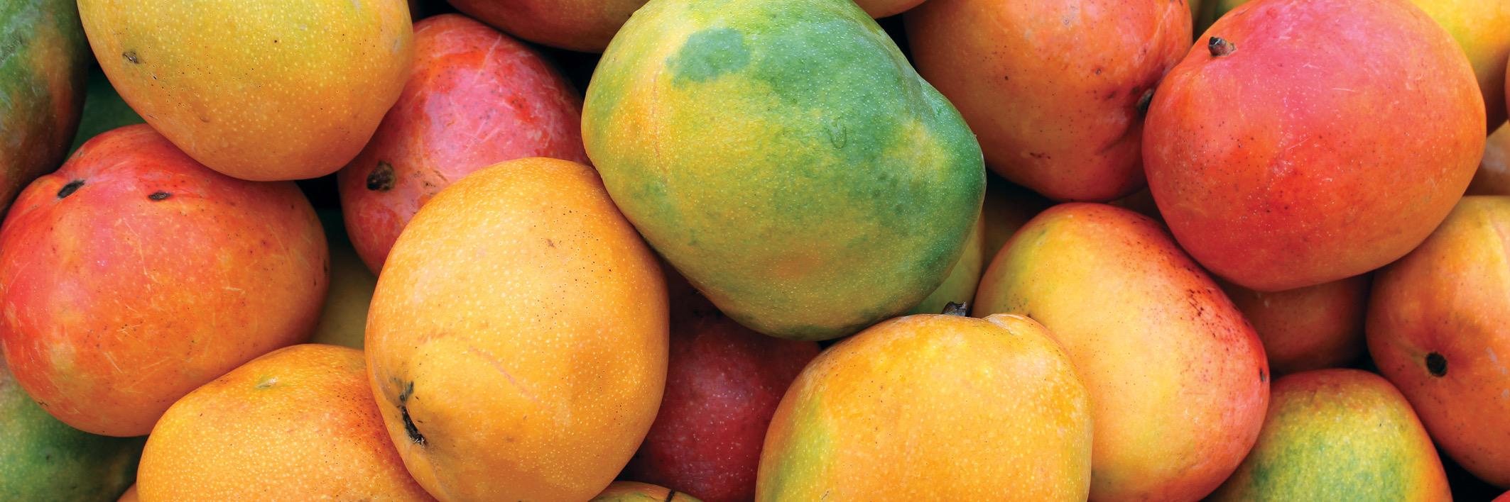 Matt's Munchies banner