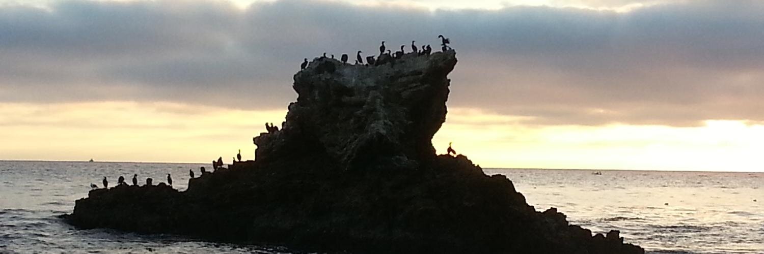 paulshoffmann's profile banner image