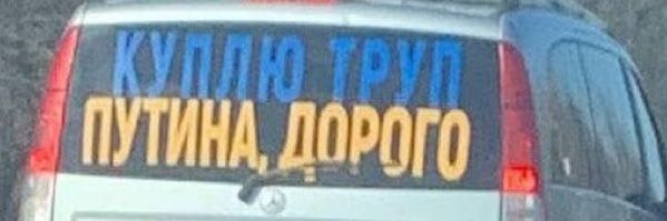 🇺🇦IviyaElonа🌻🇵🇱 banner