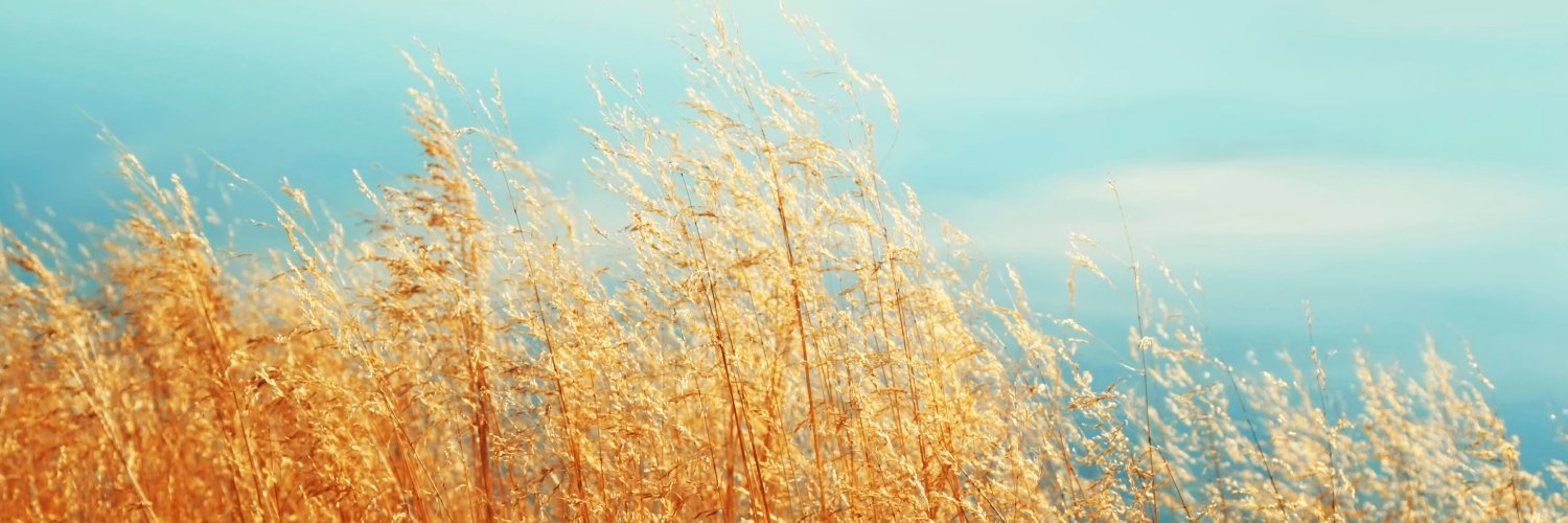 Climate Action Reserve banner