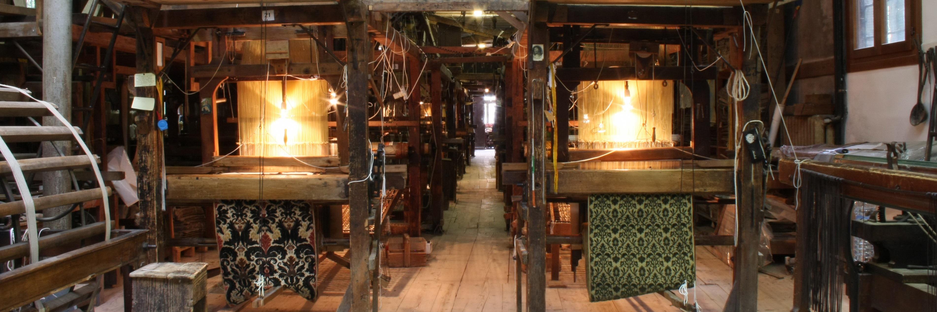 Giulia Bevilacqua banner