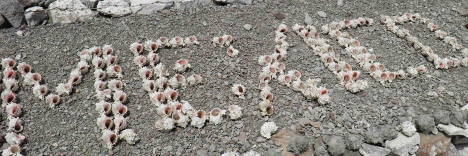 Baja Tour Guide banner