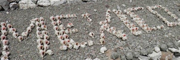 BajaTourGuide Profile Banner