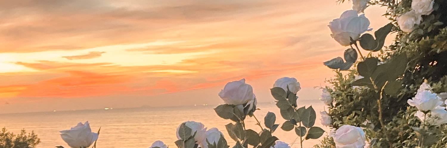 Rika_sris's profile banner image
