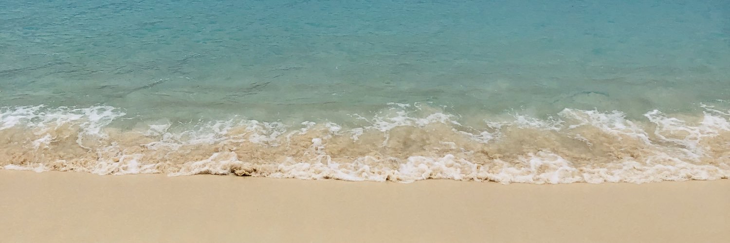 timzoggs's profile banner image