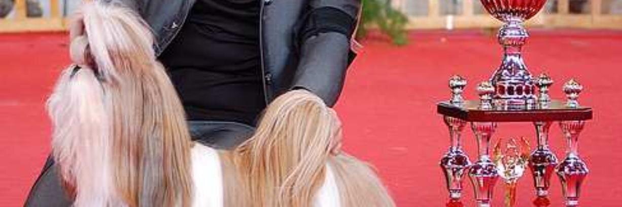 ChMENEU's profile banner image