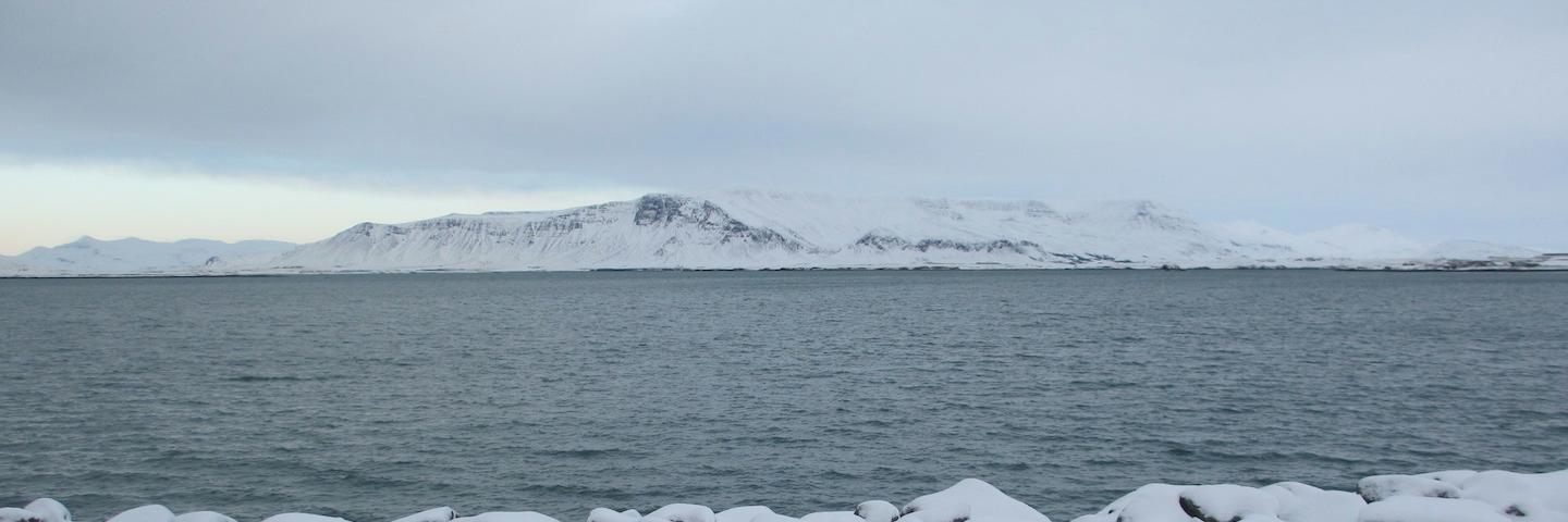 Lögberg Heimskringla banner