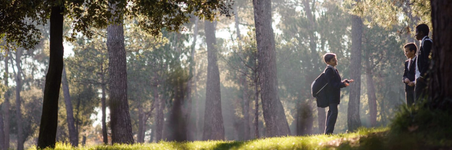 Viaró Global School banner