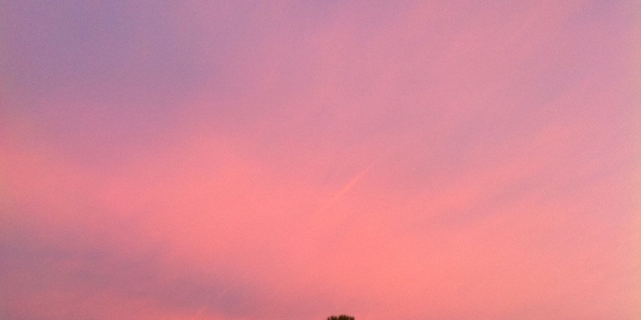 Daniel Reynolds banner