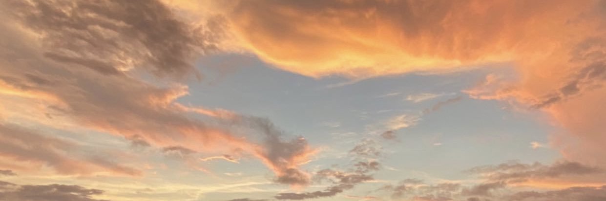 Niishe's profile banner image