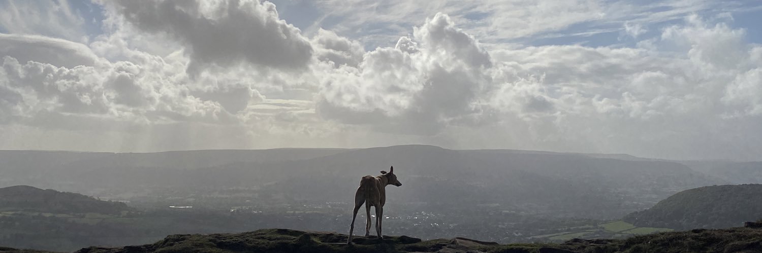 ceri_shine's profile banner image