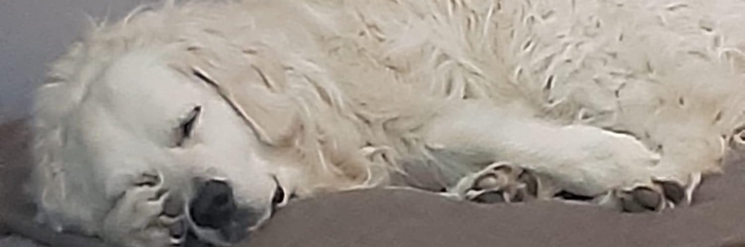 RobGoff66's profile banner image
