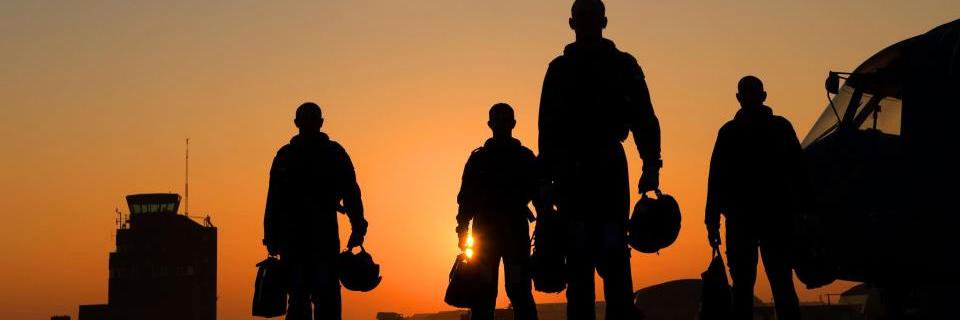 Fleet Air Arm Officers Association banner