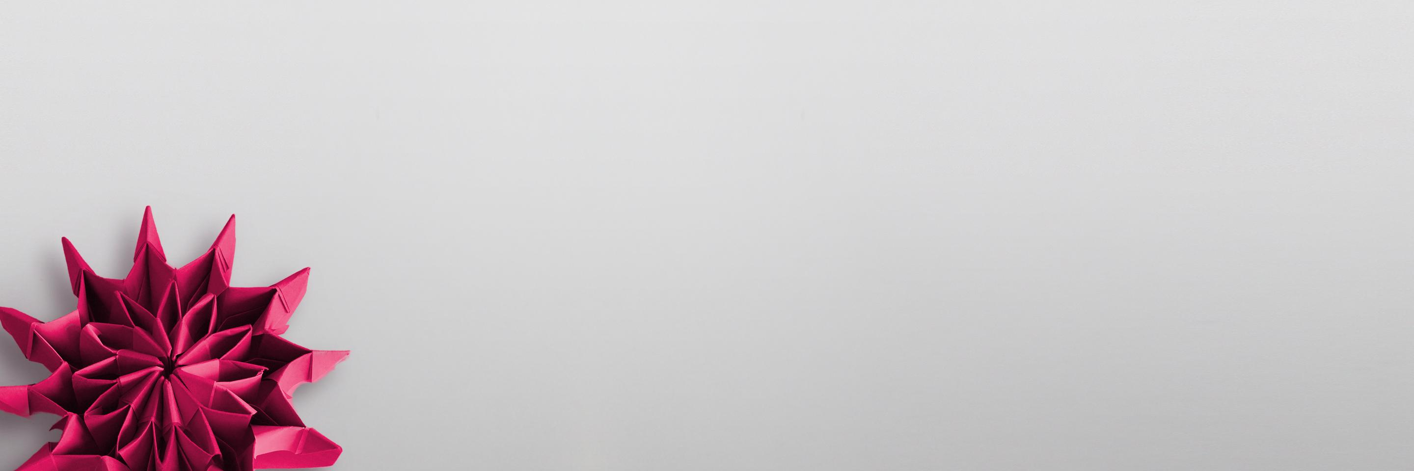 Amplea Conseil banner